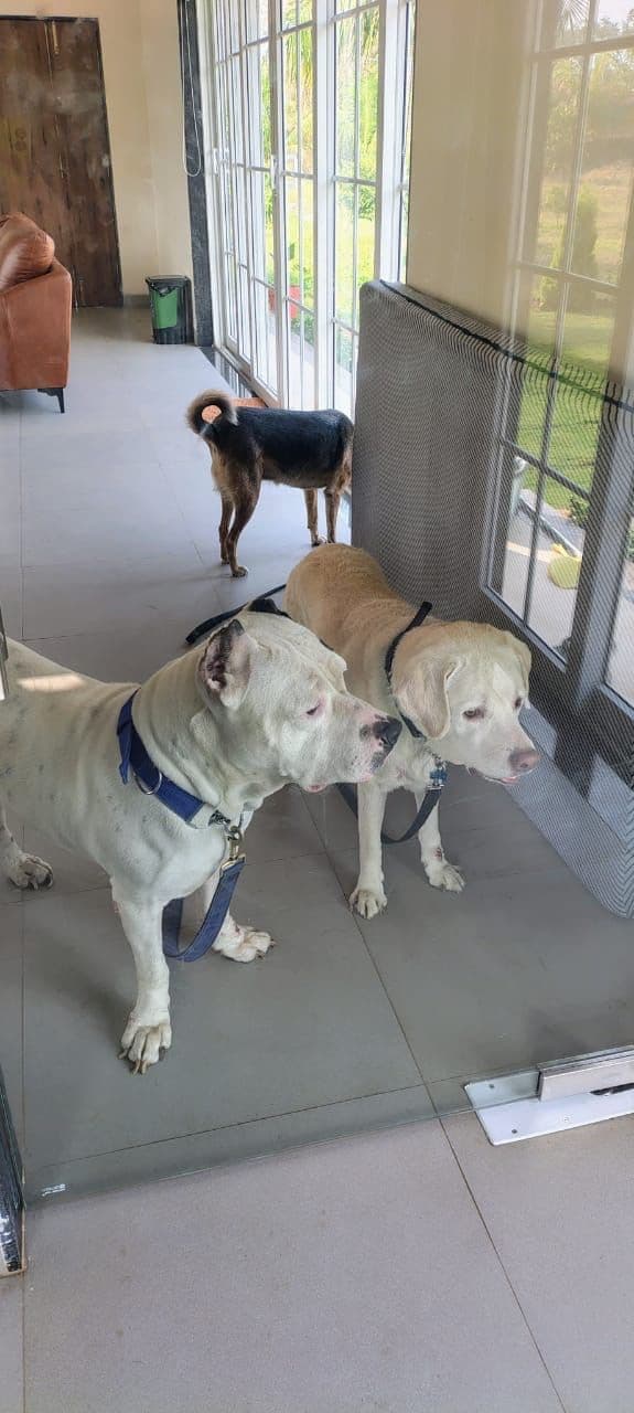 Shailaja Radhakrishnan