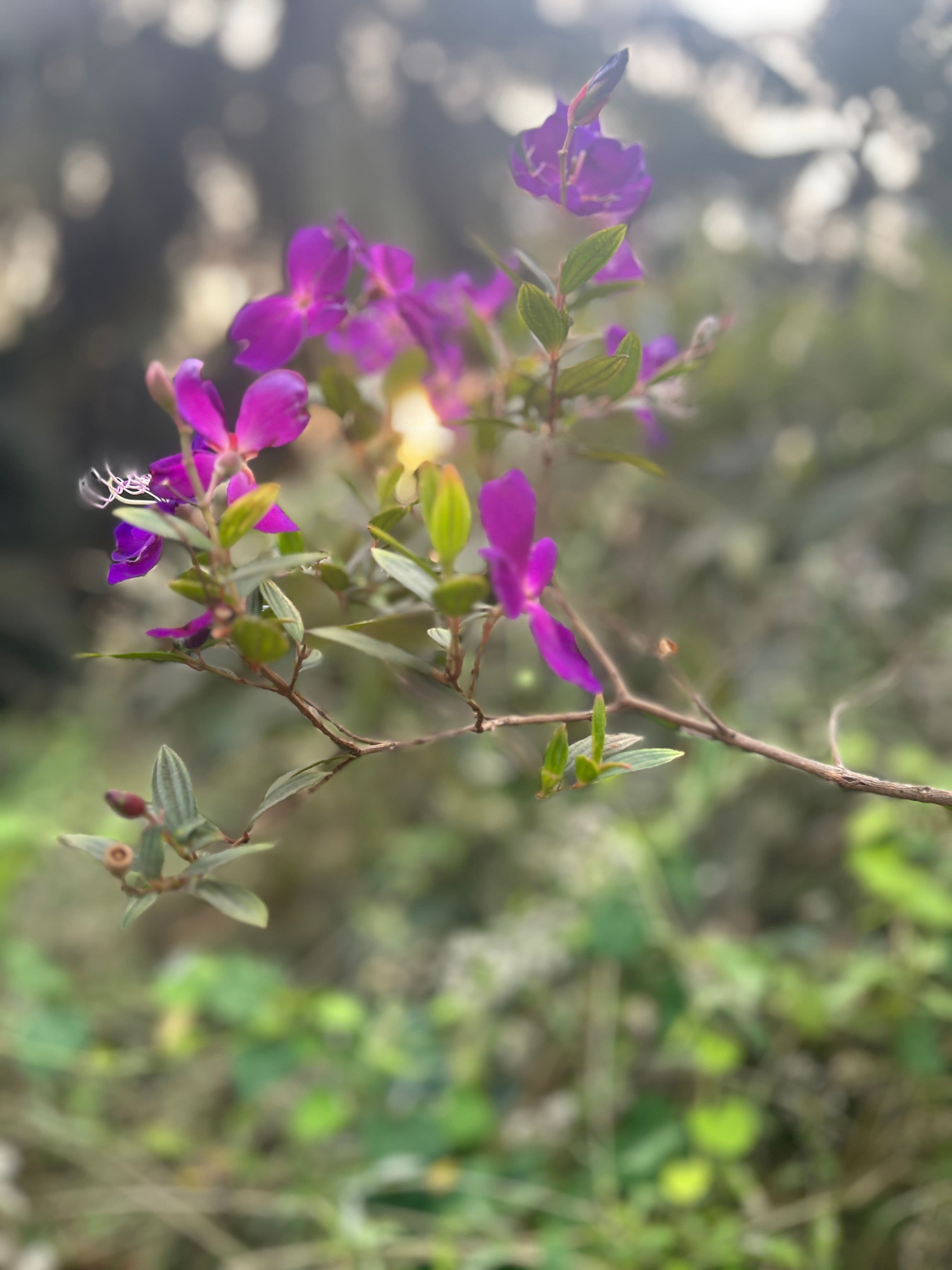Chandrasekaran Narayanaswamy