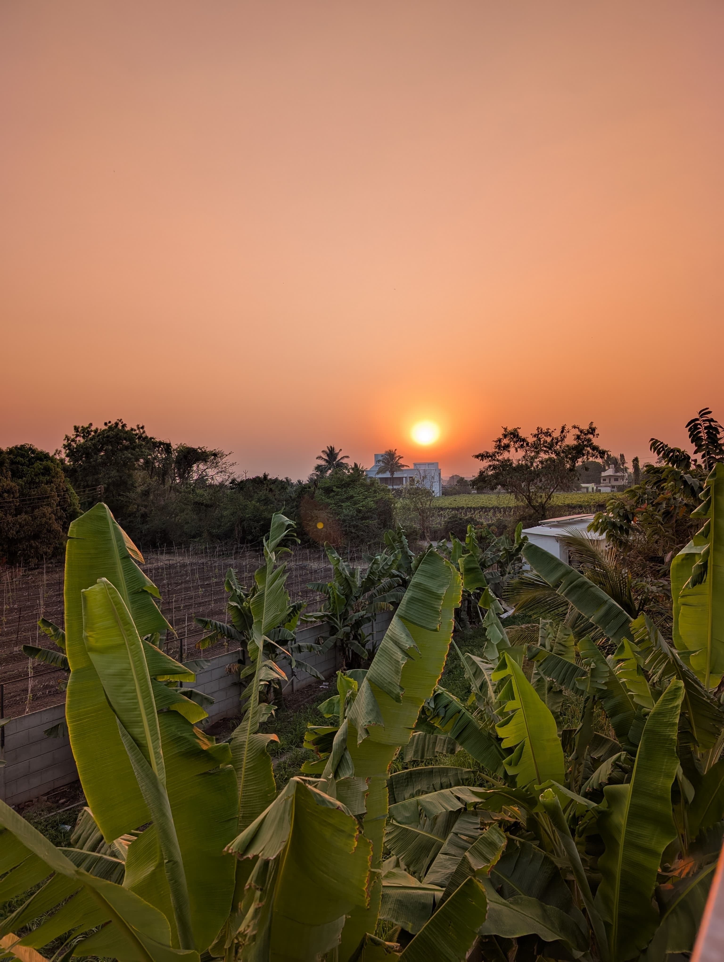 Amruta Prathamesh Patne