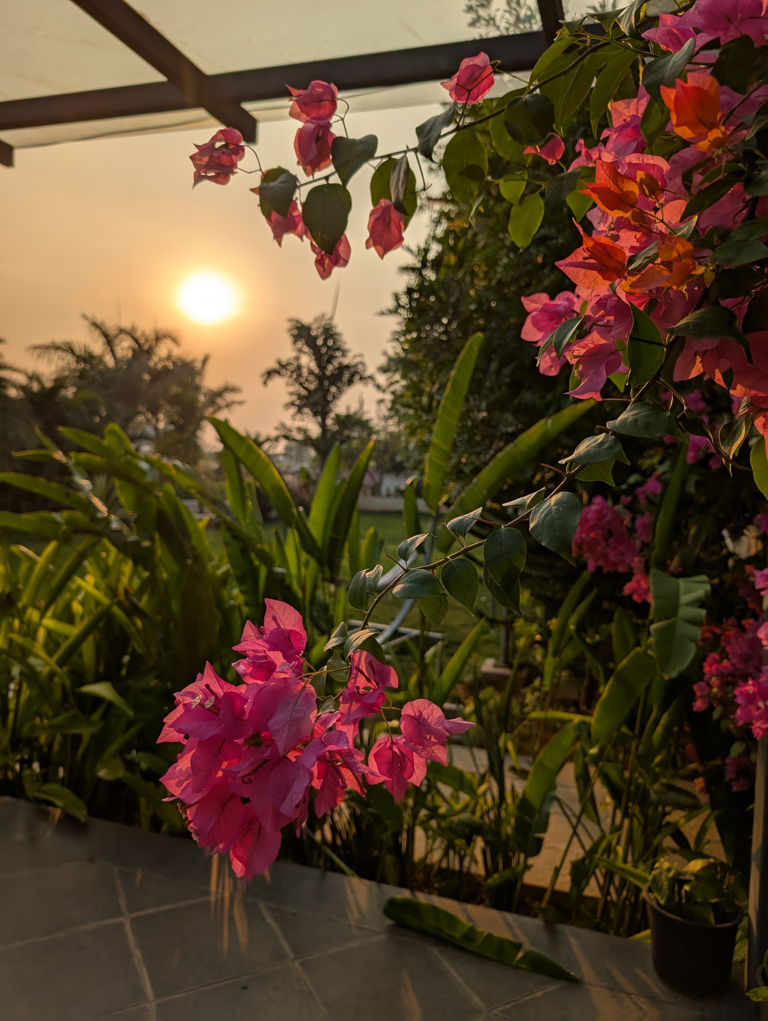 Amruta Prathamesh Patne