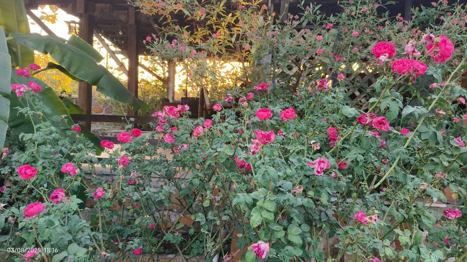  Anagha Anagha Shinde