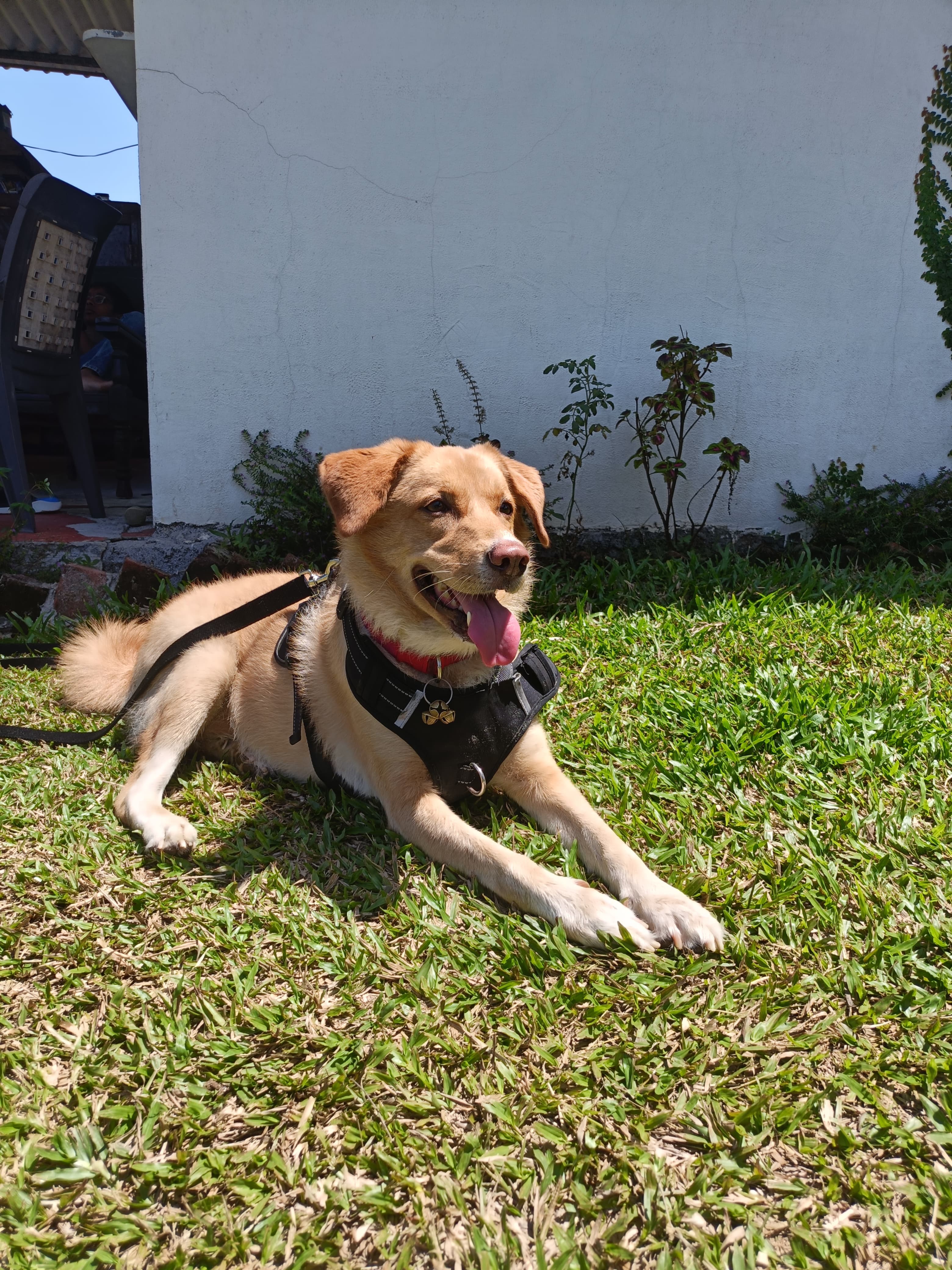 Parthasarathy Sivaraman