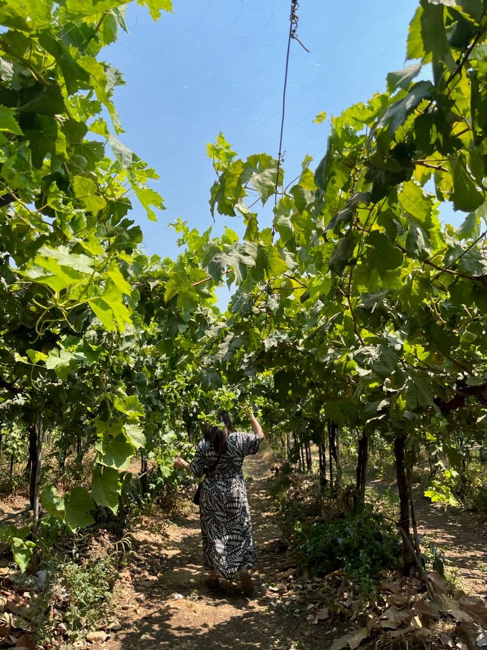  Lalremruati Chhangte