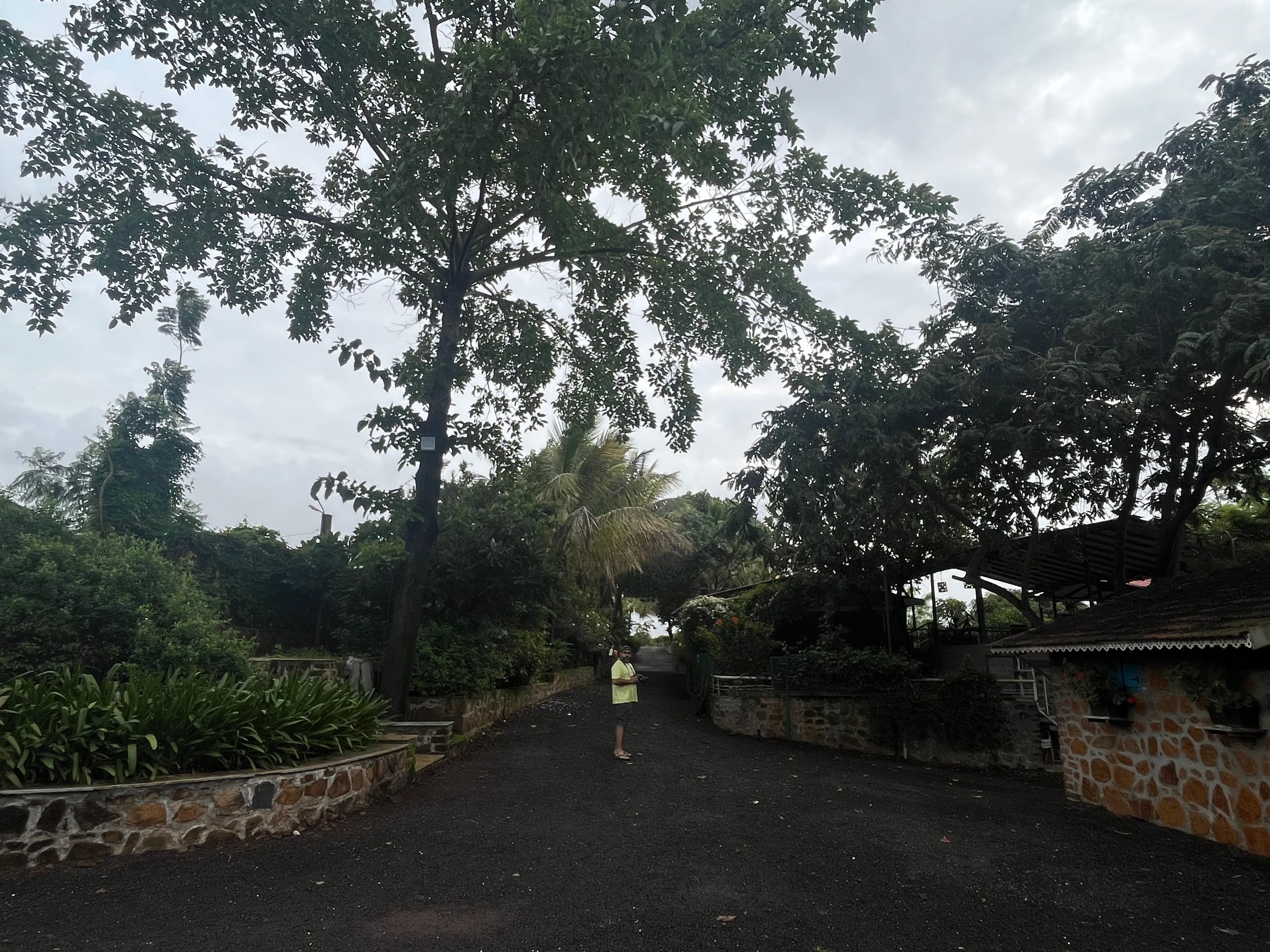 Lenita Travellallway