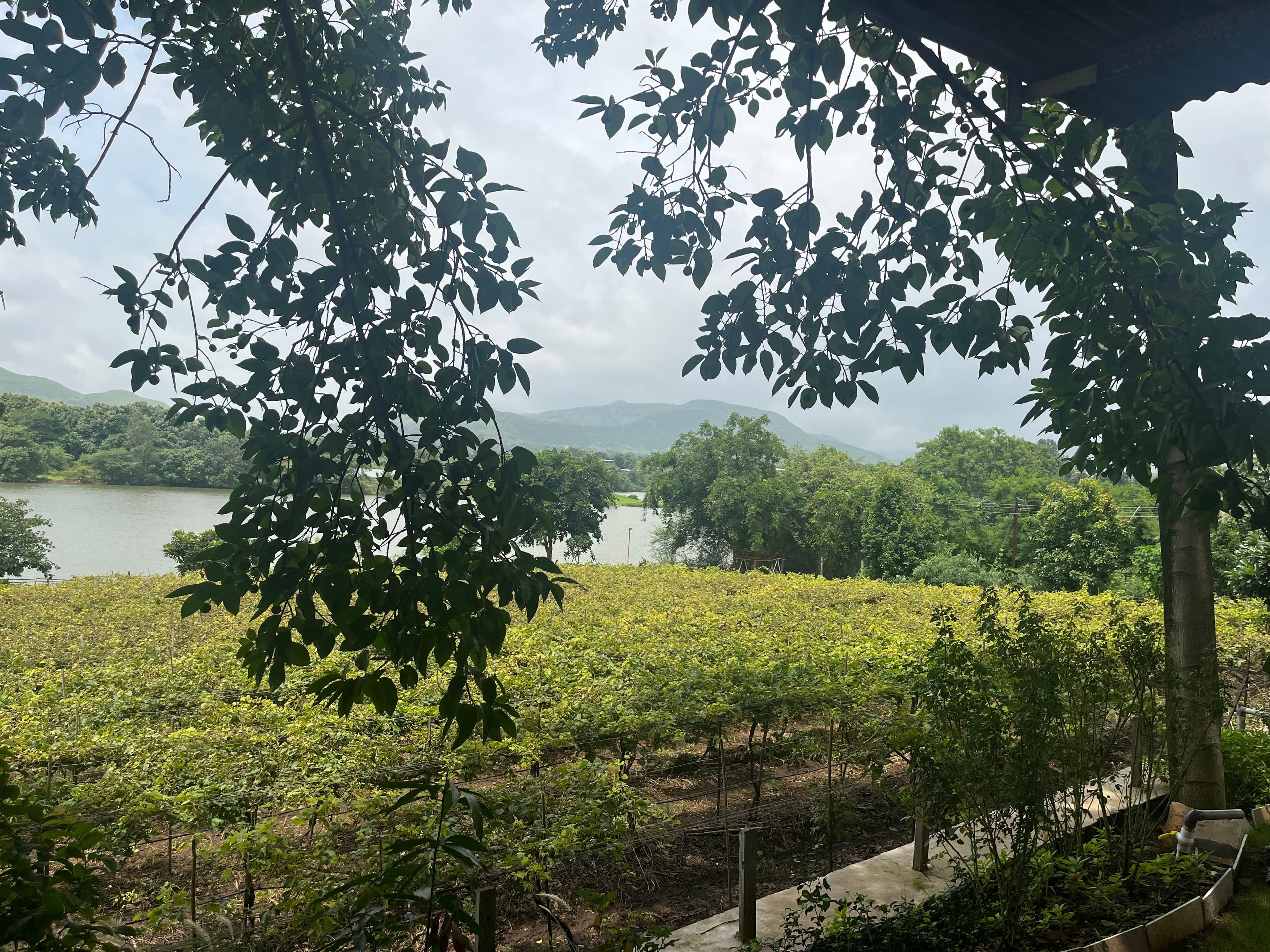 Lenita Travellallway