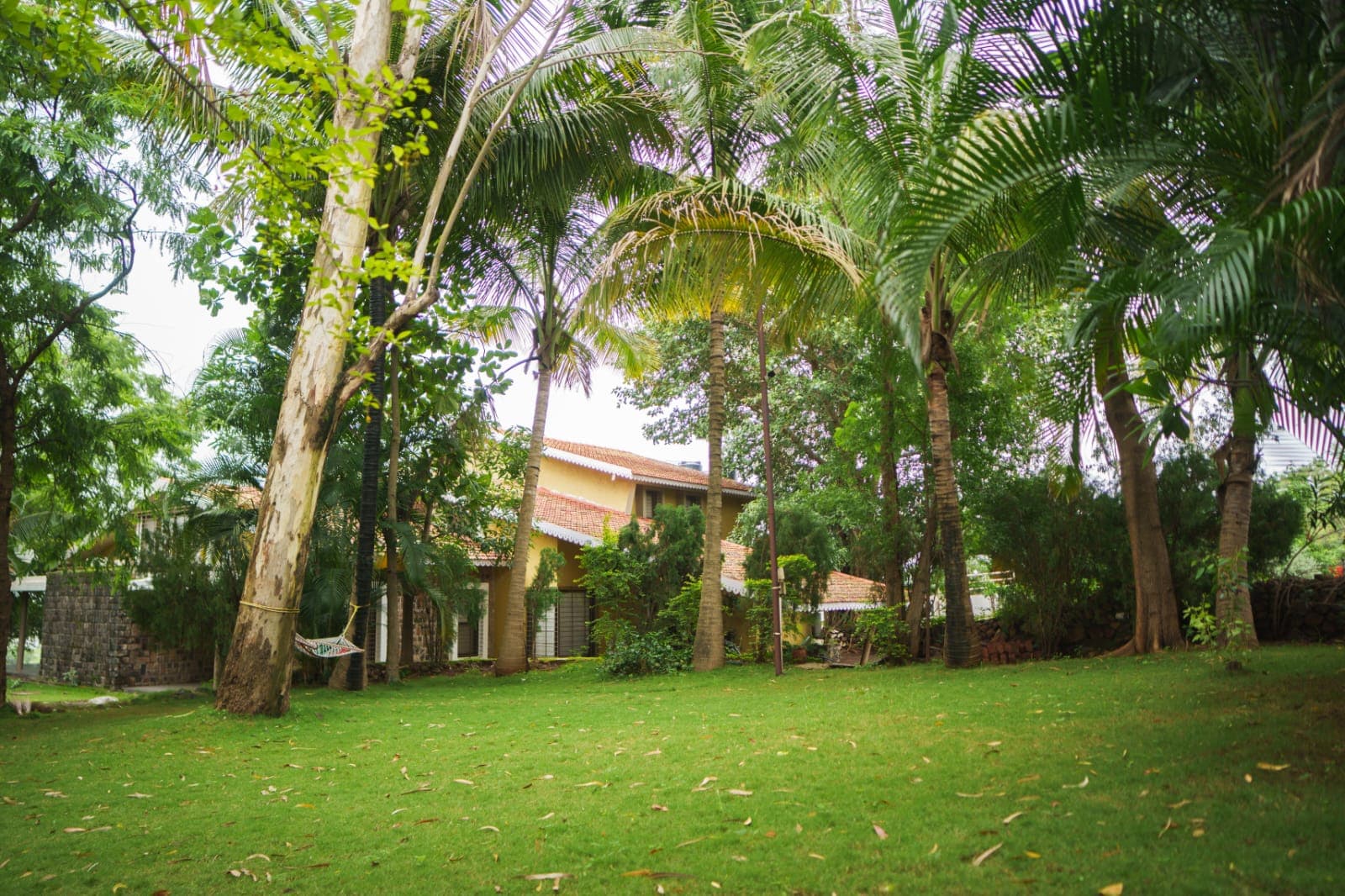 Ruchita Jain Shandilya