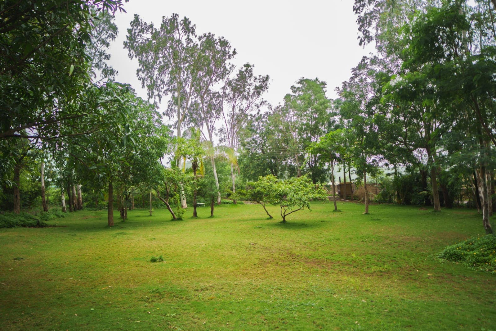 Ruchita Jain Shandilya