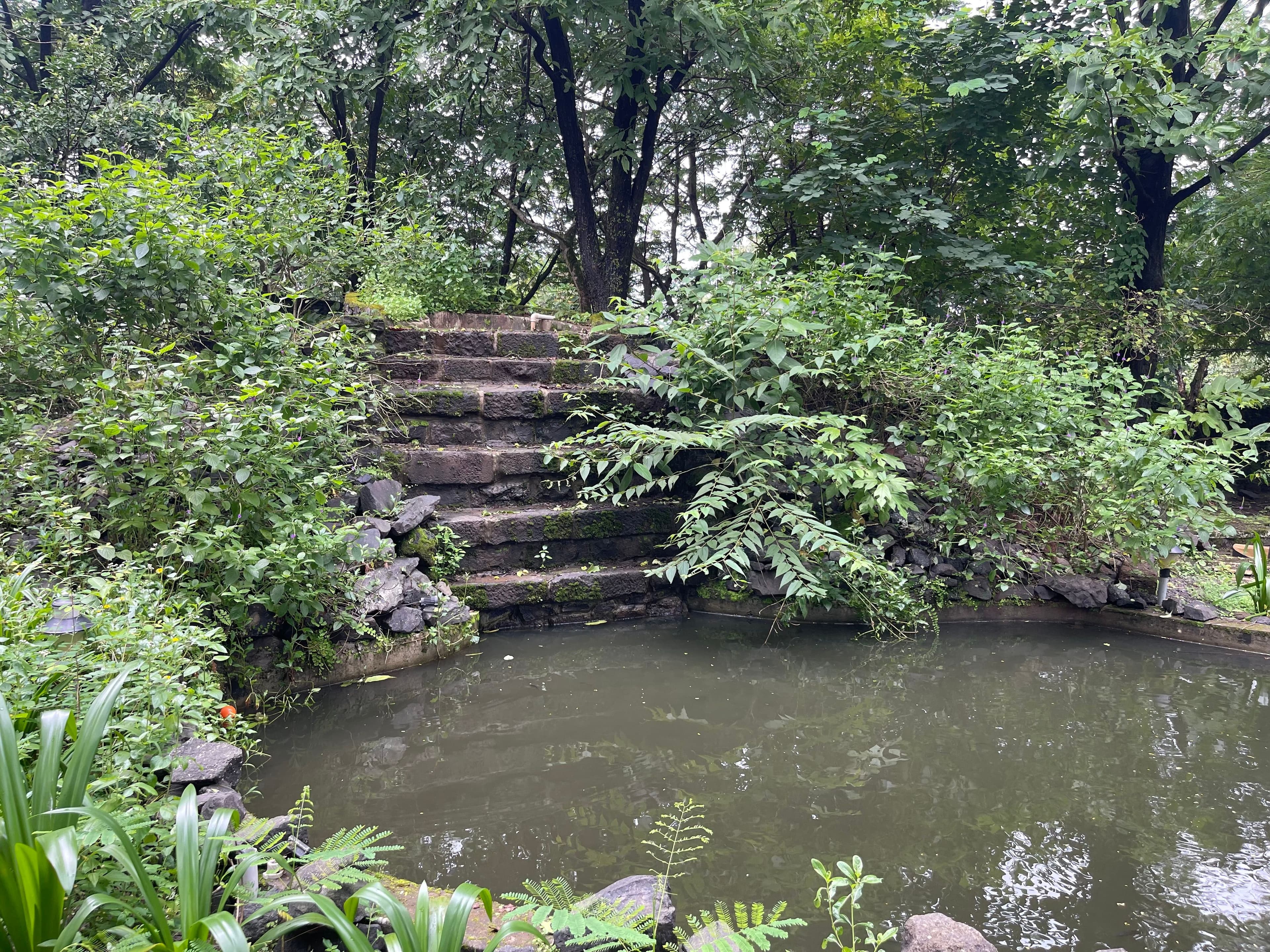 Mr. Ravindra  Pandey