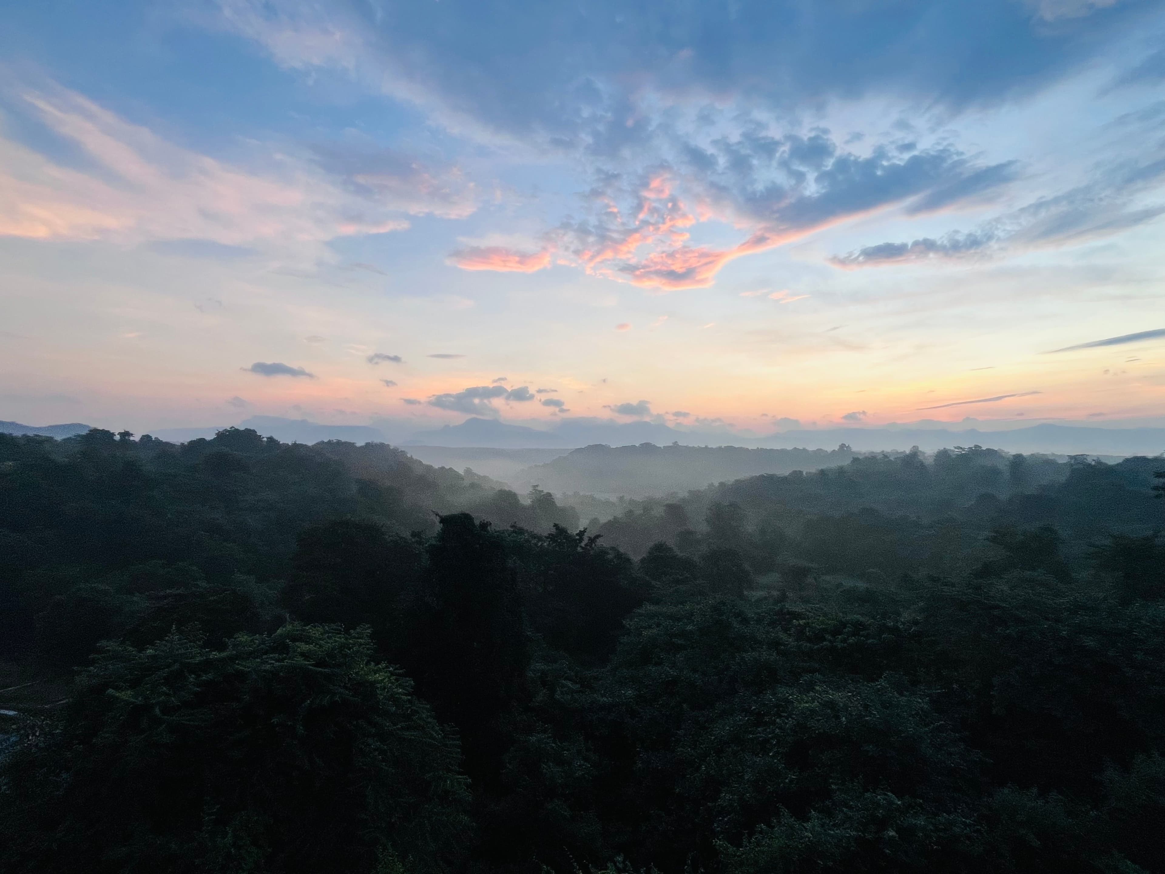 Rebecca Gitanjali Rapthap