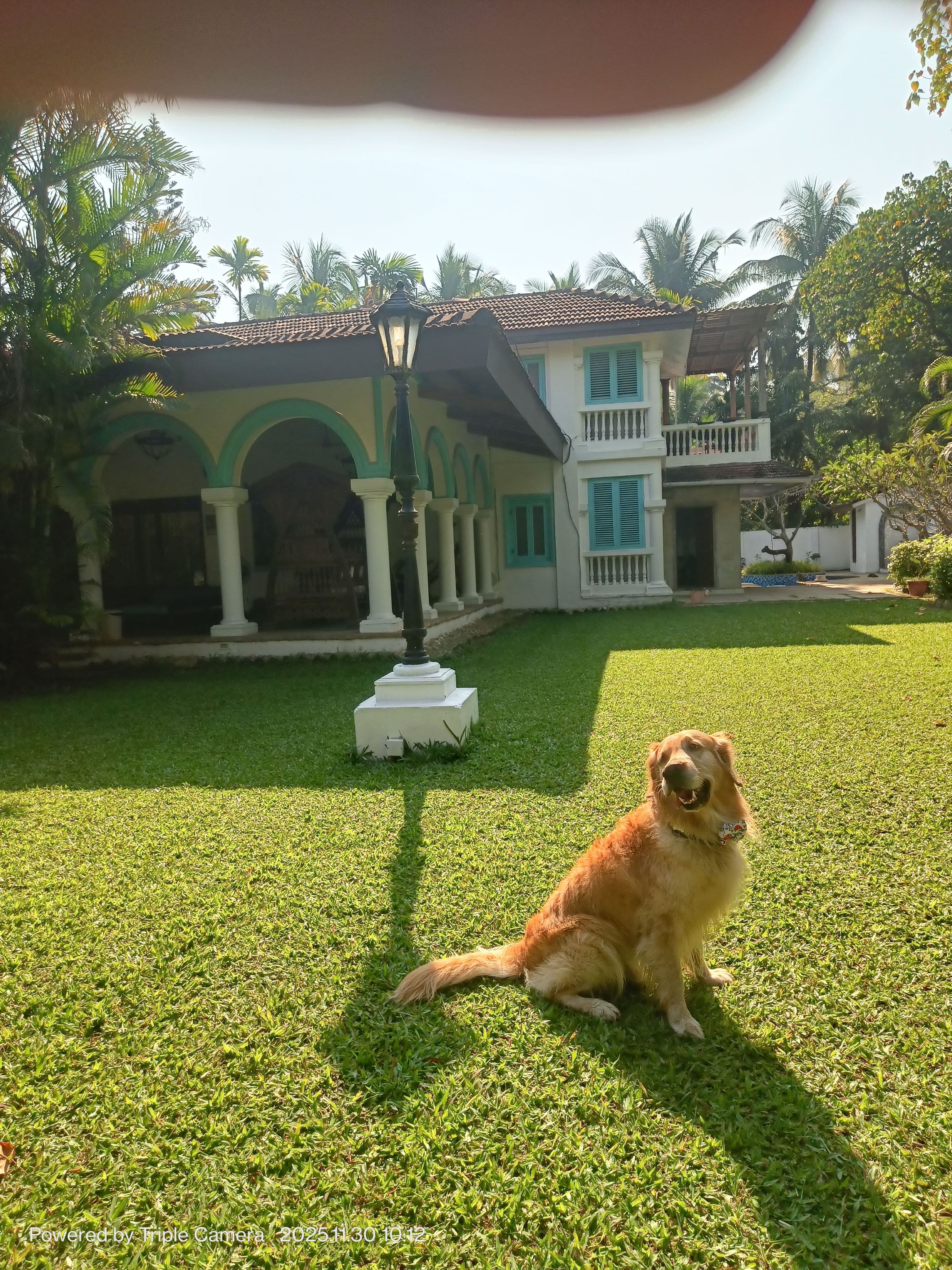 Bank of  Maharashtra Alibaug