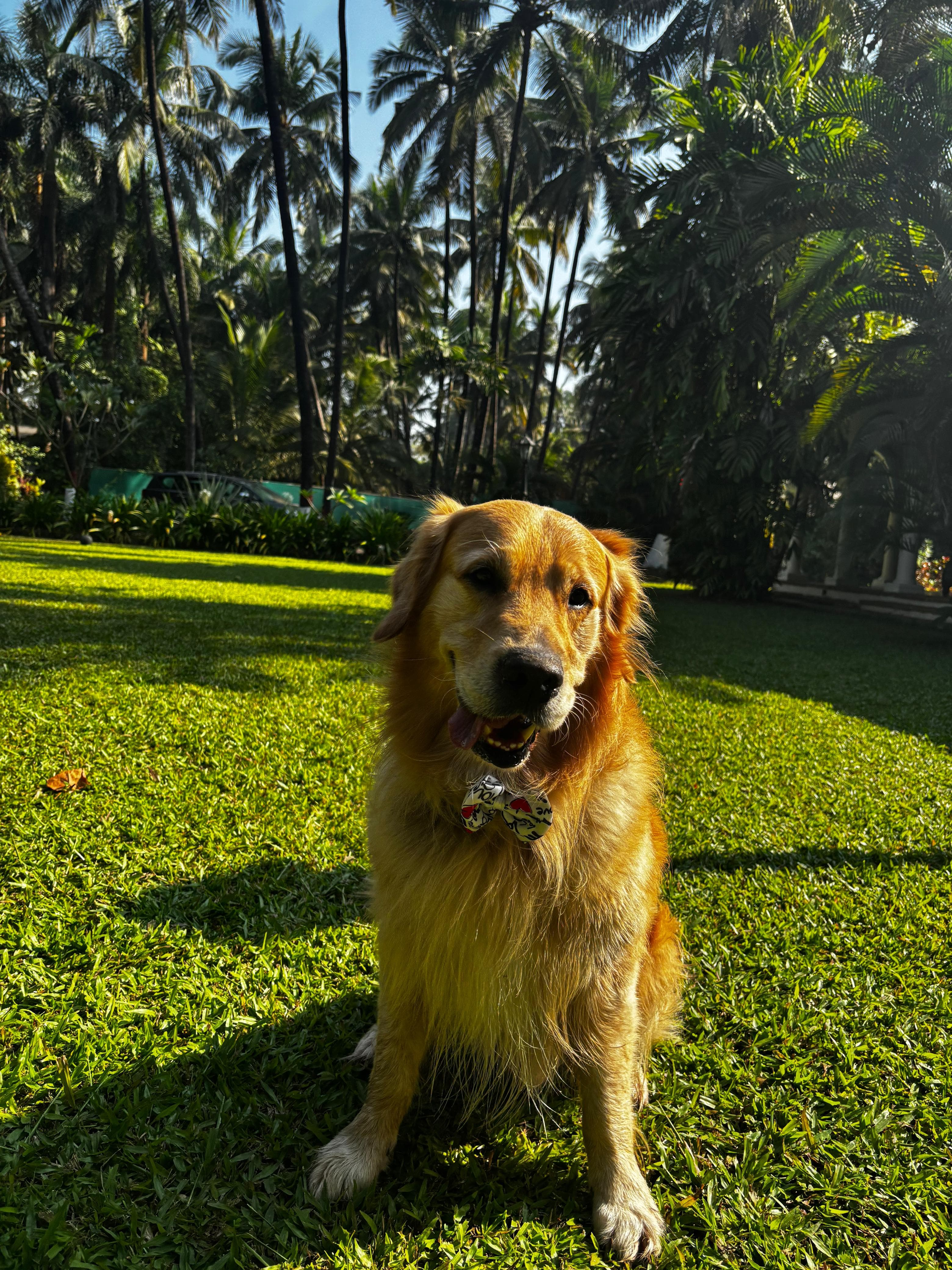 Kaustubh Chintamani shevade