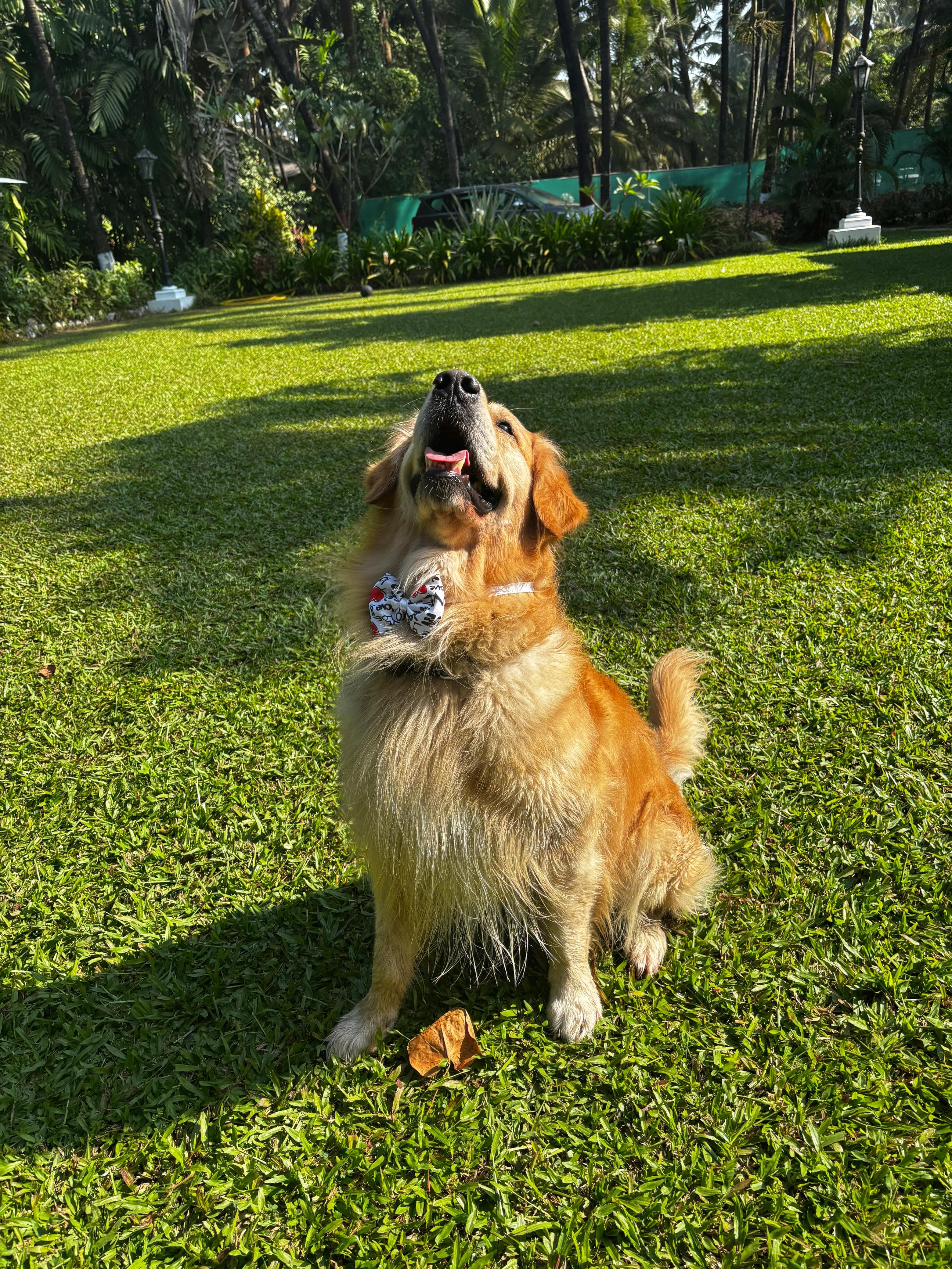 Kaustubh Chintamani shevade