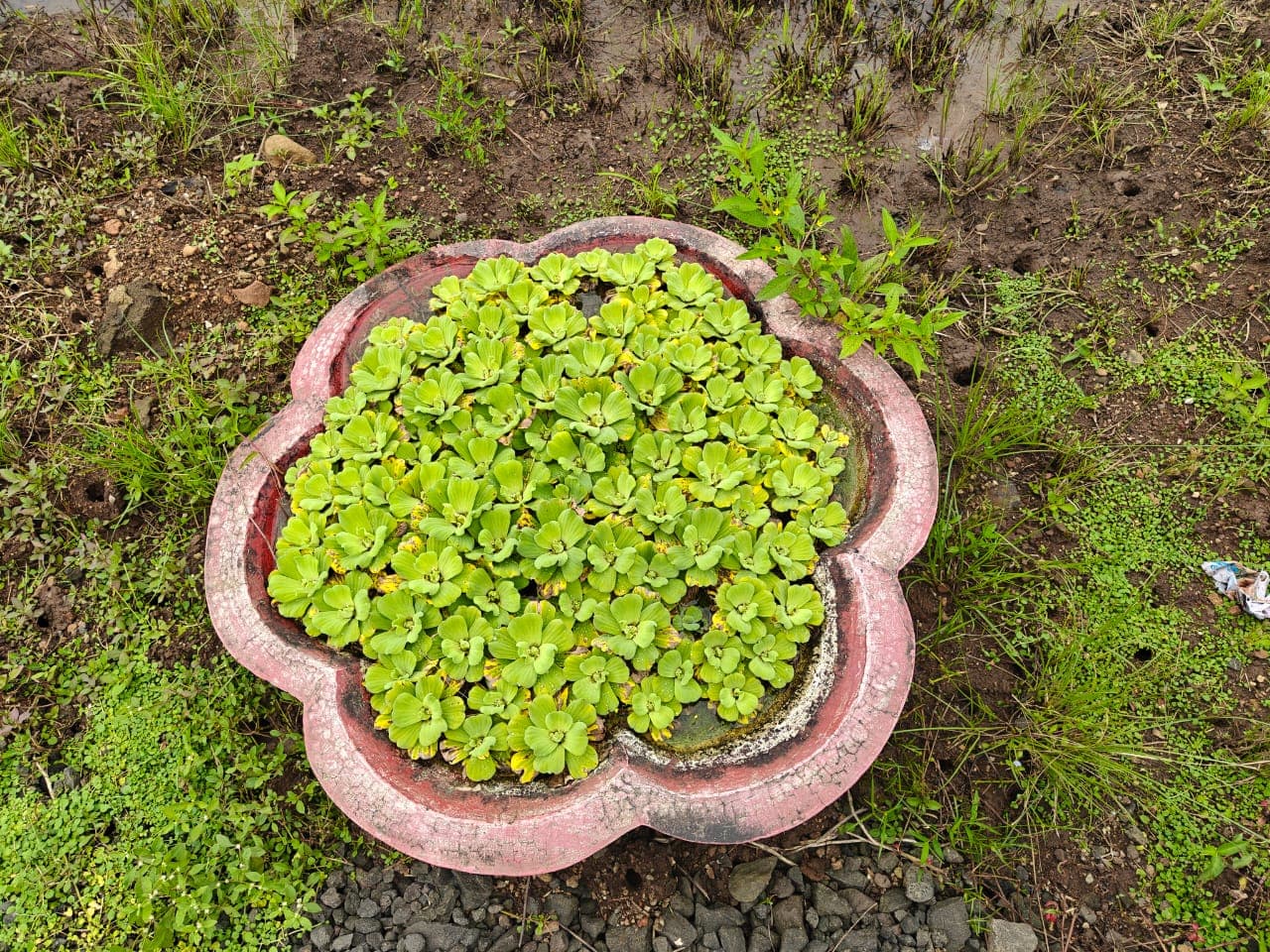 Princekumar Rakesh Kothari