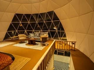 Fiddleheads - Family Suite